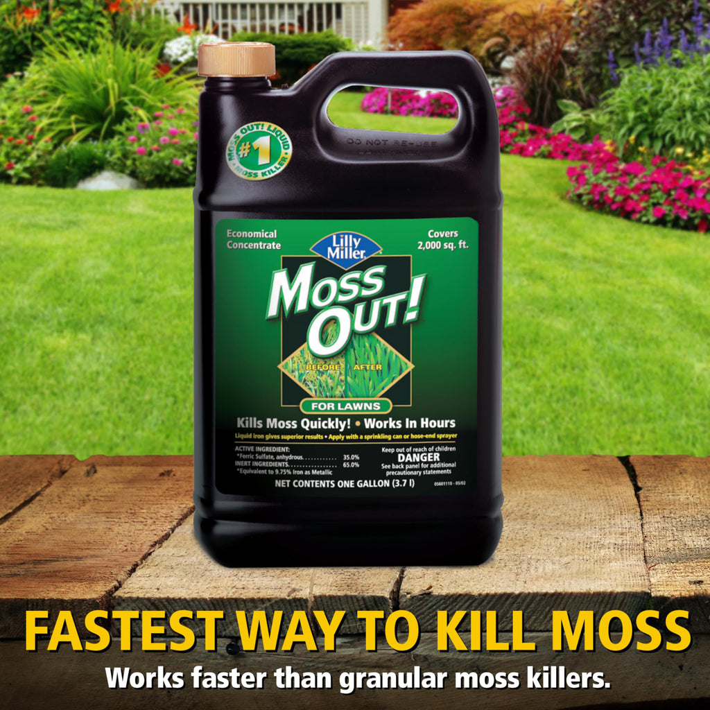 Moss Killer for Lawns Concentrate, 1 Gallon D3567