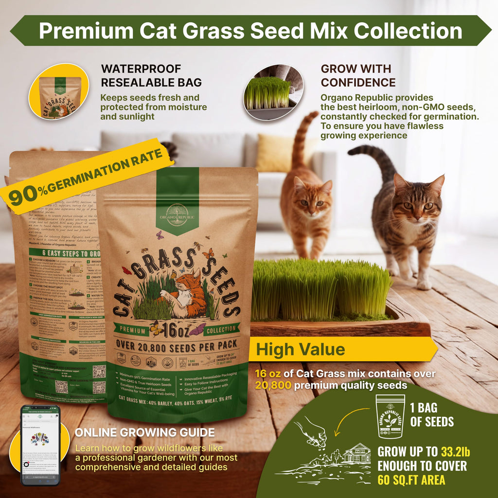 Cat Grass Seeds Mix 16 oz Non-GMO Heirloom G382