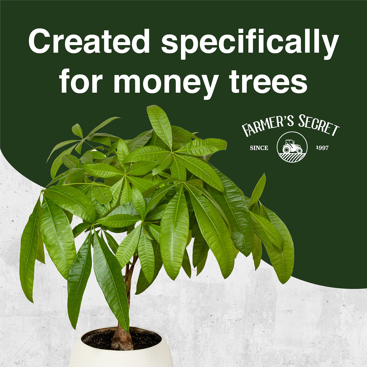 Money Tree Liquid Plant Food Fertilizer 8oz Concentrated M546377