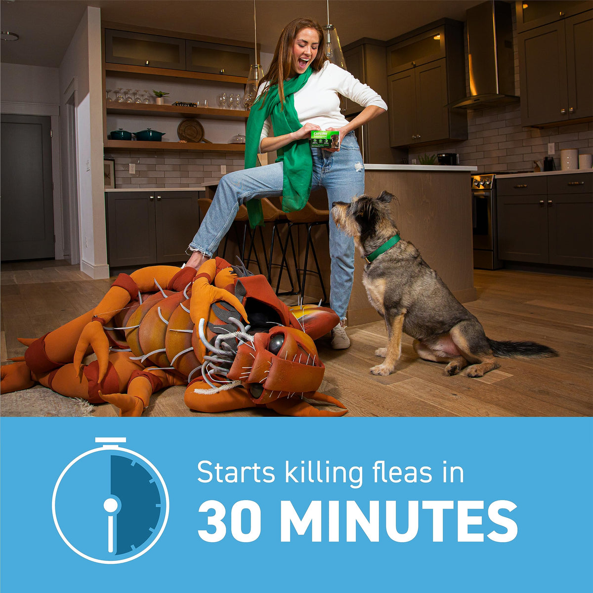 Flea and Tick Prevention for Small Dogs 6 Doses X891