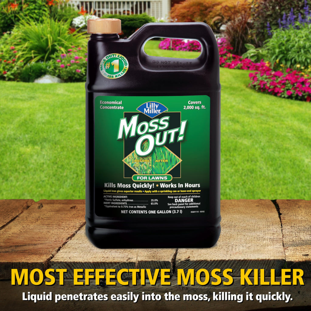 Moss Killer for Lawns Concentrate, 1 Gallon D3567
