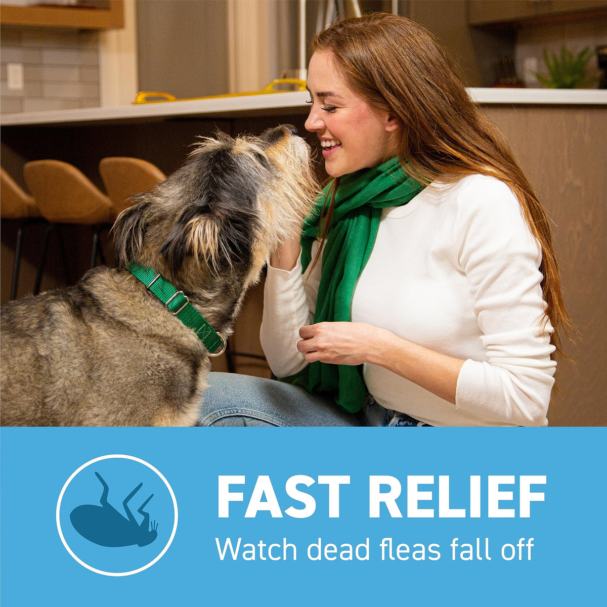 Flea and Tick Prevention for Small Dogs 6 Doses X891