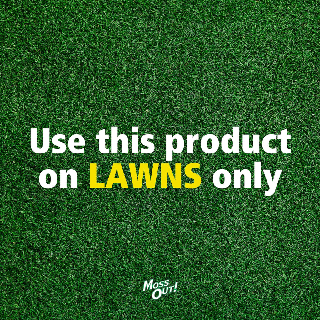 Moss Killer for Lawns Concentrate, 1 Gallon D3567