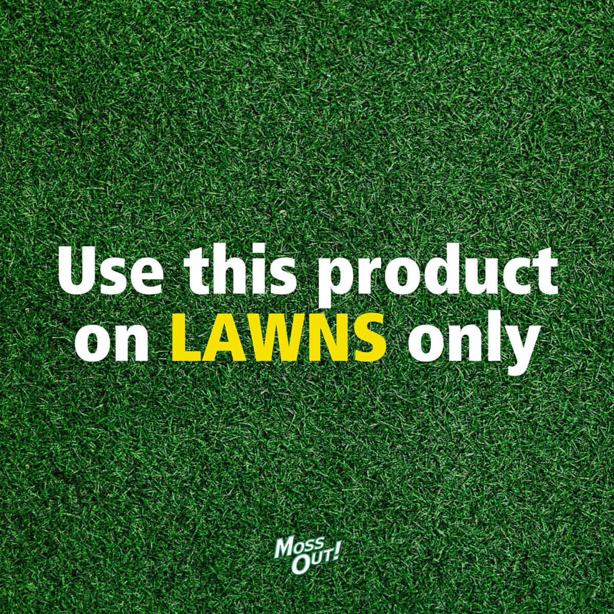 Moss Killer for Lawns Concentrate, 1 Gallon D3567